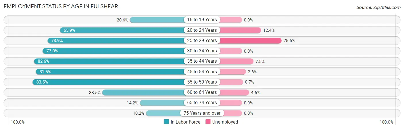 Employment Status by Age in Fulshear