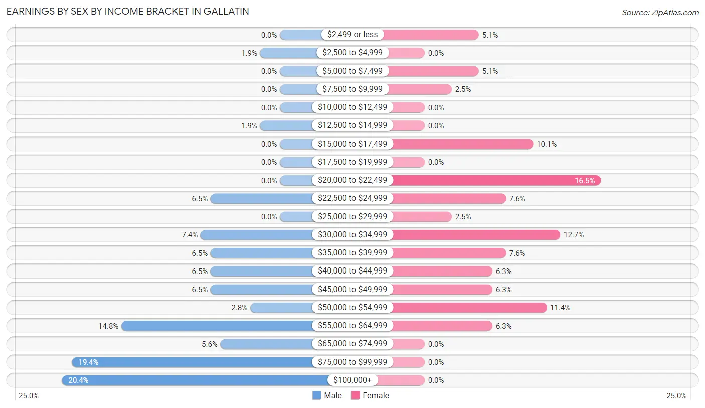 Earnings by Sex by Income Bracket in Gallatin
