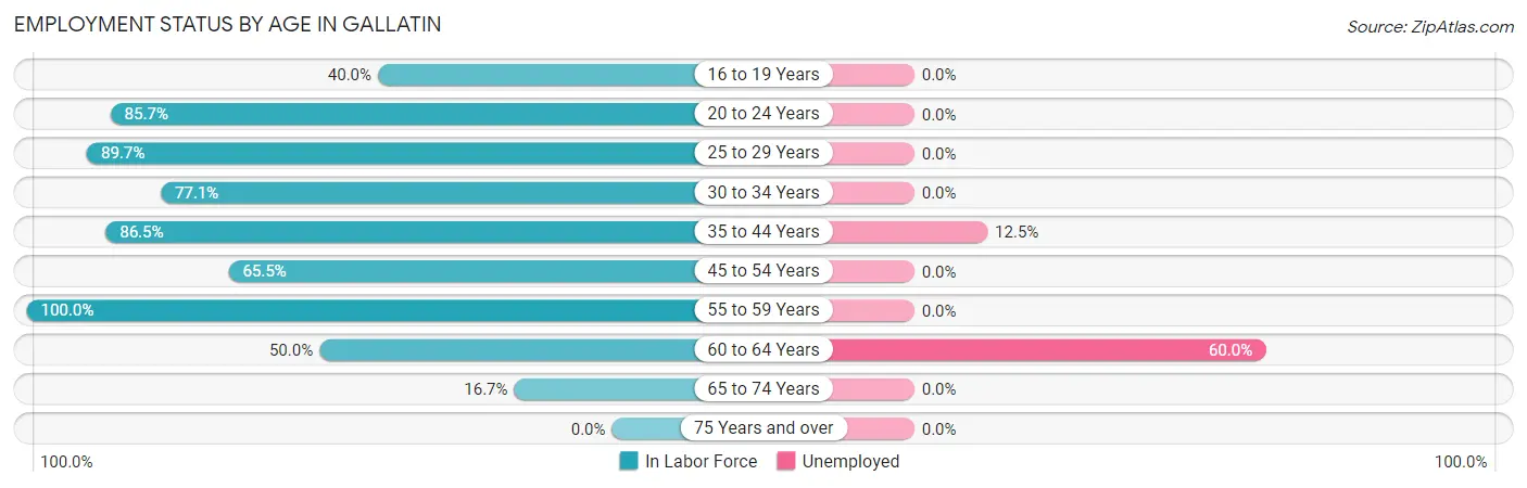 Employment Status by Age in Gallatin