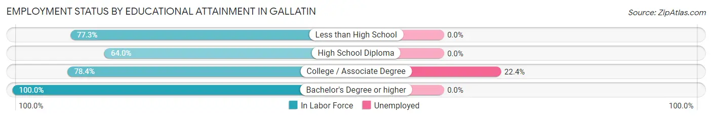 Employment Status by Educational Attainment in Gallatin