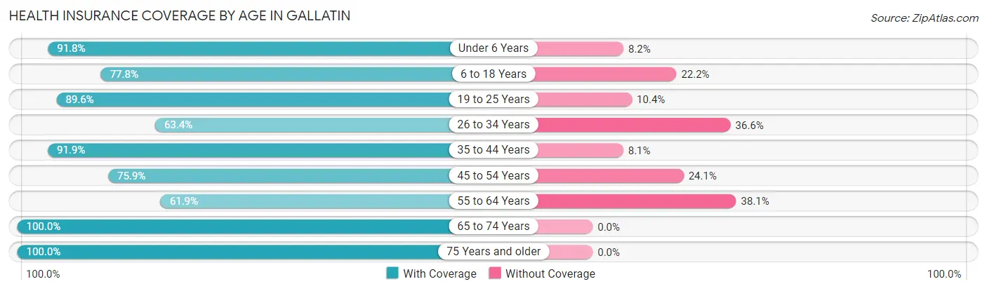 Health Insurance Coverage by Age in Gallatin