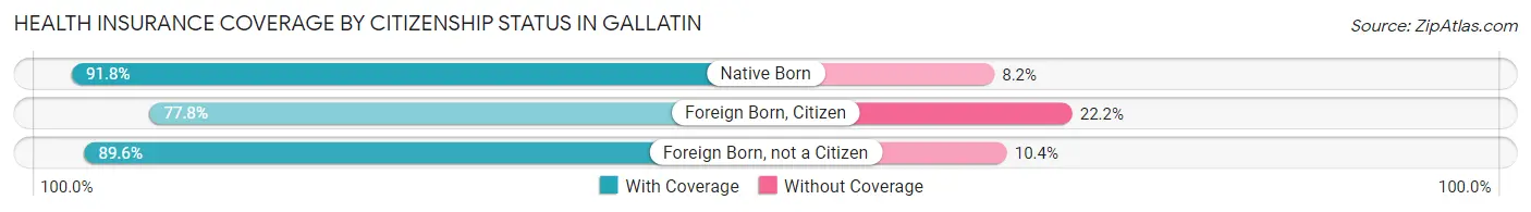 Health Insurance Coverage by Citizenship Status in Gallatin
