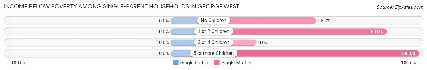 Income Below Poverty Among Single-Parent Households in George West