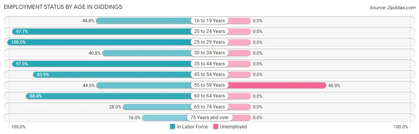 Employment Status by Age in Giddings