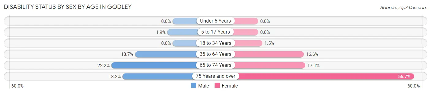 Disability Status by Sex by Age in Godley