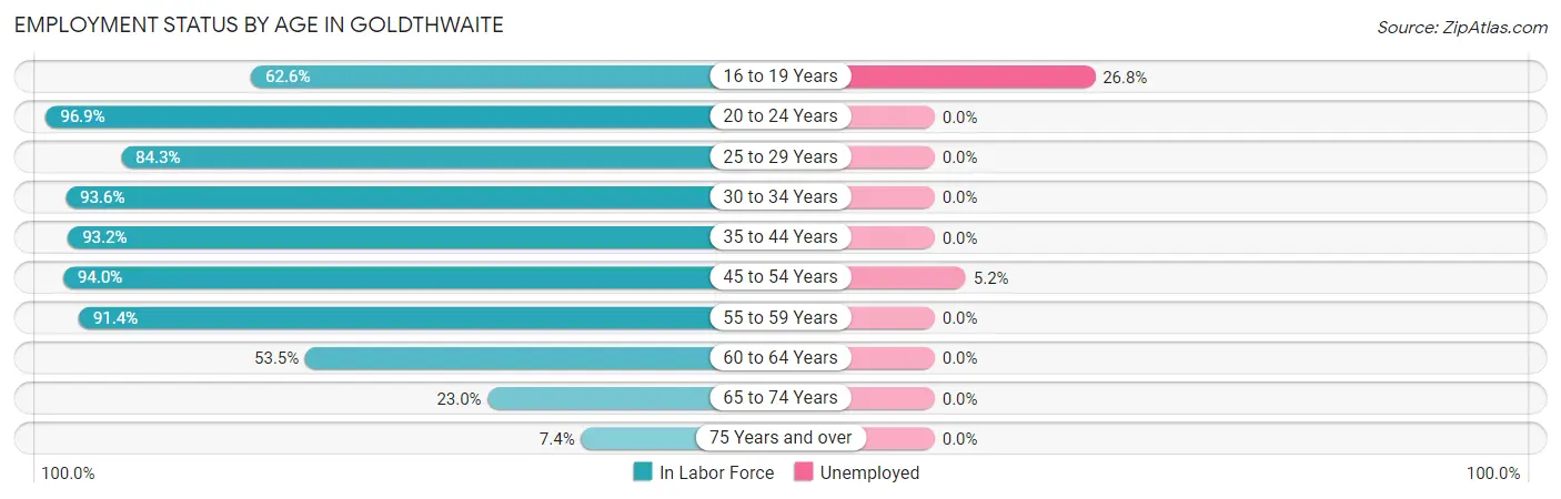 Employment Status by Age in Goldthwaite