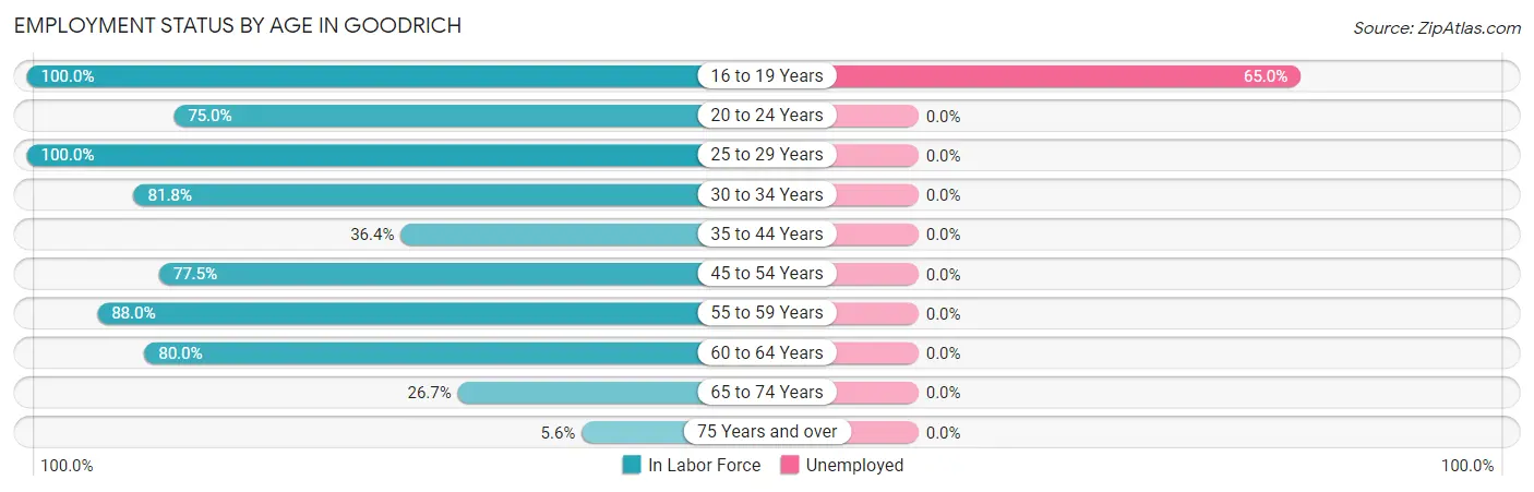 Employment Status by Age in Goodrich