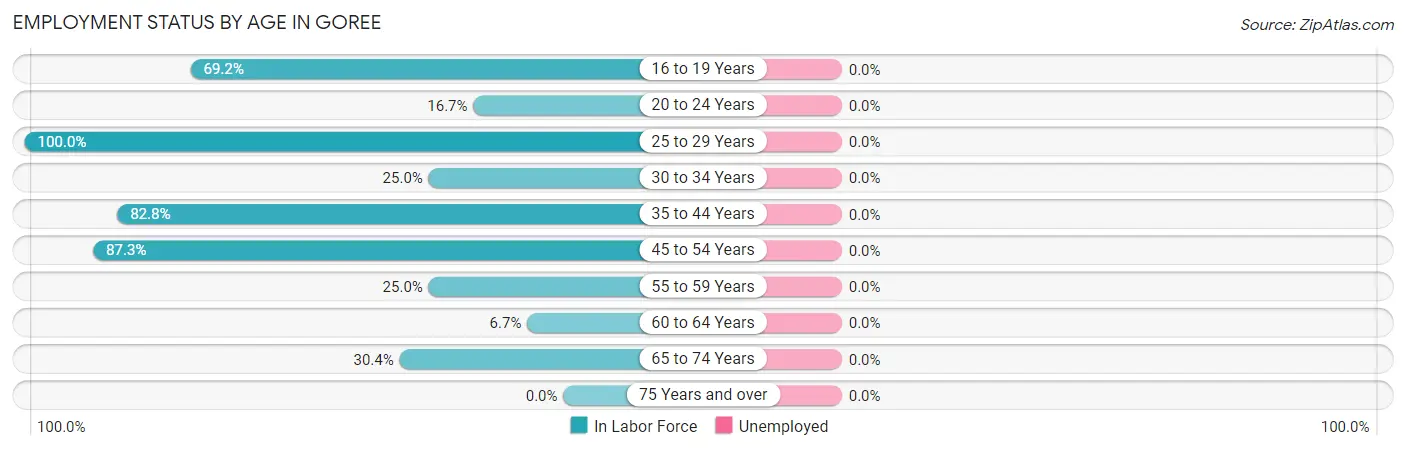 Employment Status by Age in Goree