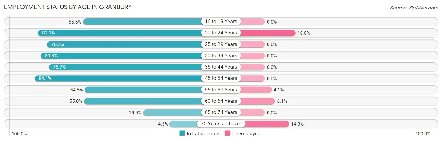 Employment Status by Age in Granbury