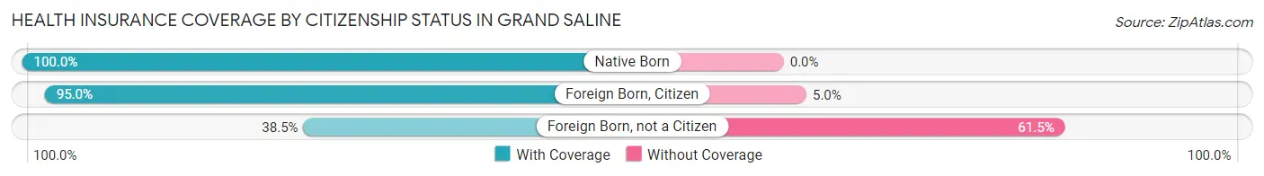 Health Insurance Coverage by Citizenship Status in Grand Saline