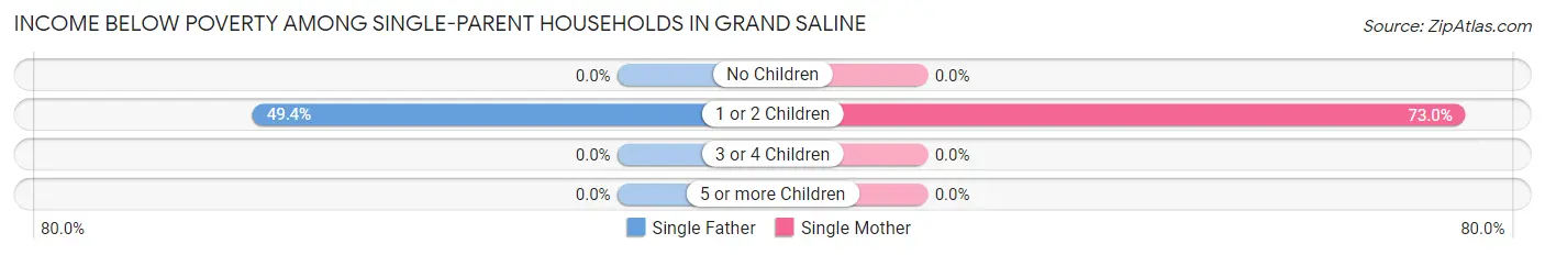 Income Below Poverty Among Single-Parent Households in Grand Saline