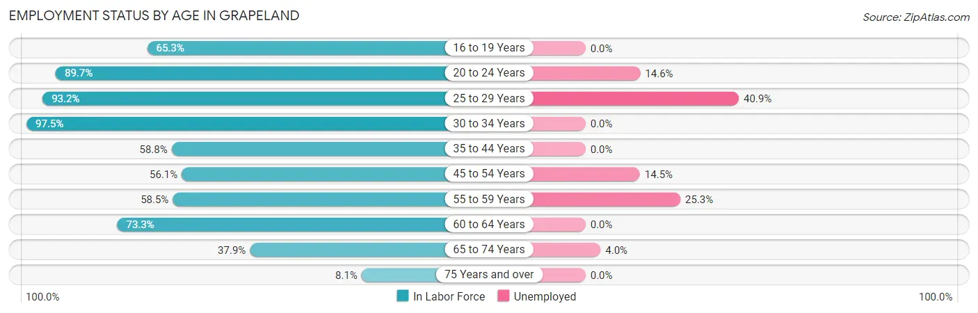 Employment Status by Age in Grapeland