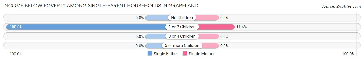 Income Below Poverty Among Single-Parent Households in Grapeland