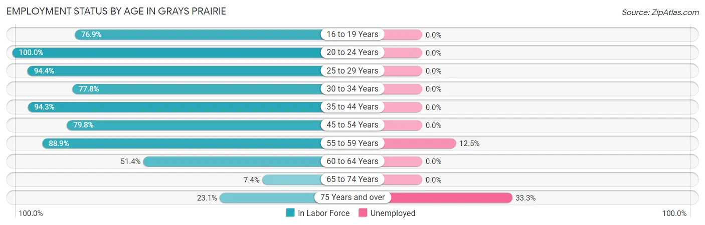 Employment Status by Age in Grays Prairie