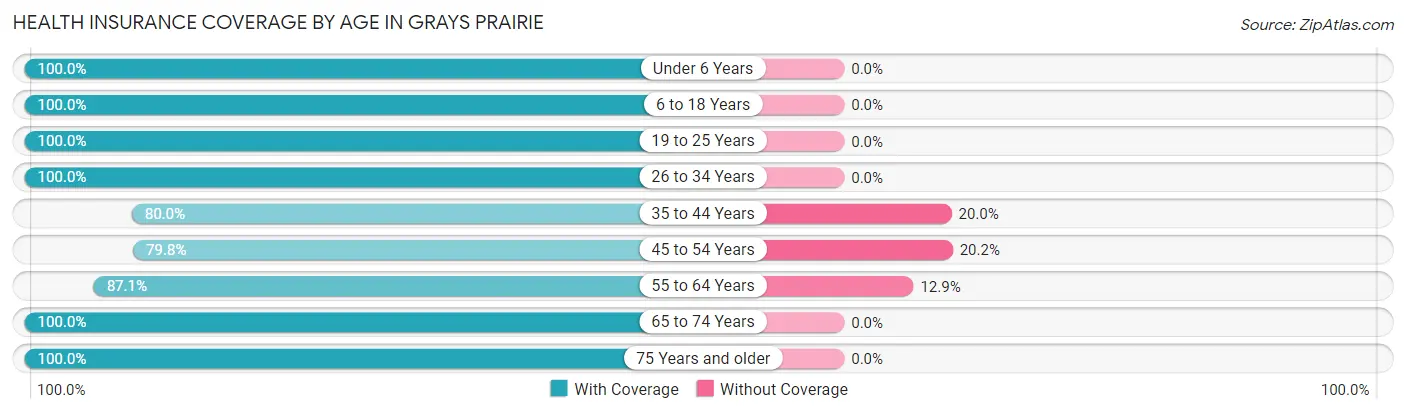 Health Insurance Coverage by Age in Grays Prairie
