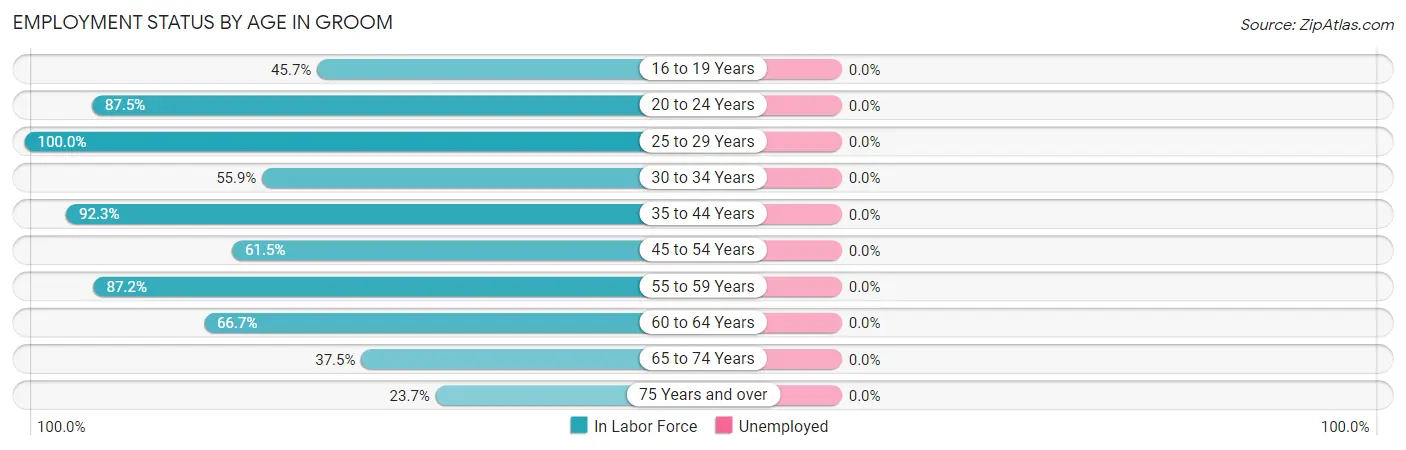 Employment Status by Age in Groom