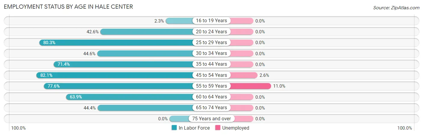 Employment Status by Age in Hale Center