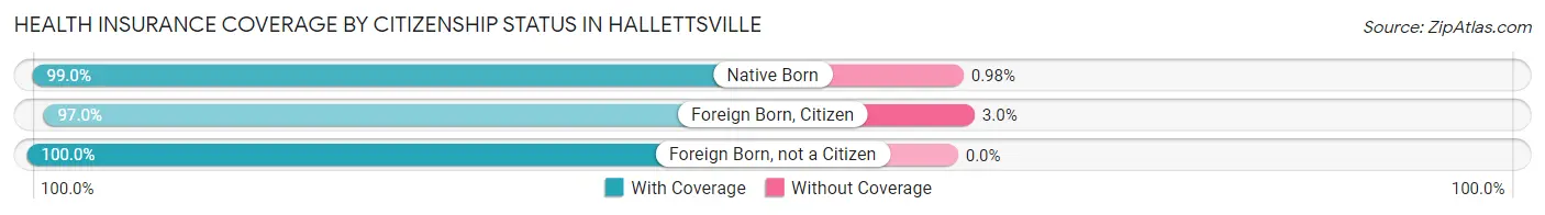 Health Insurance Coverage by Citizenship Status in Hallettsville
