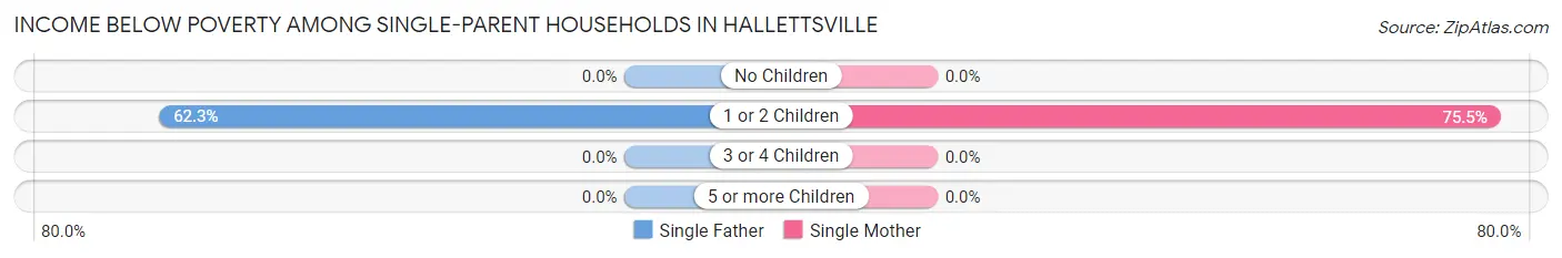 Income Below Poverty Among Single-Parent Households in Hallettsville