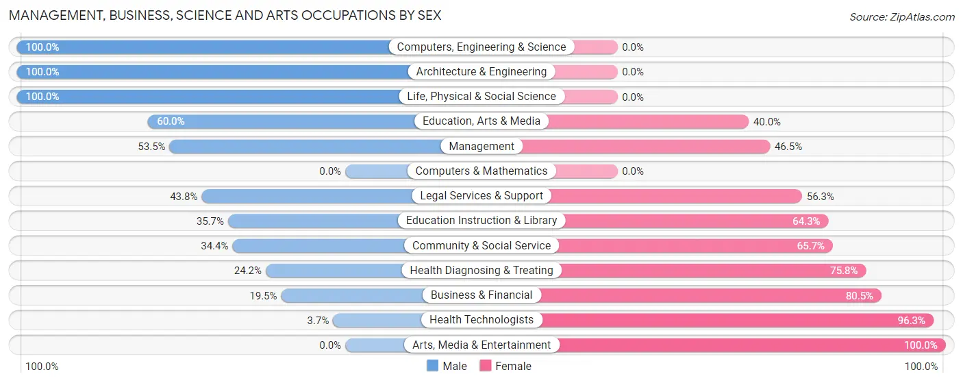 Management, Business, Science and Arts Occupations by Sex in Hallettsville