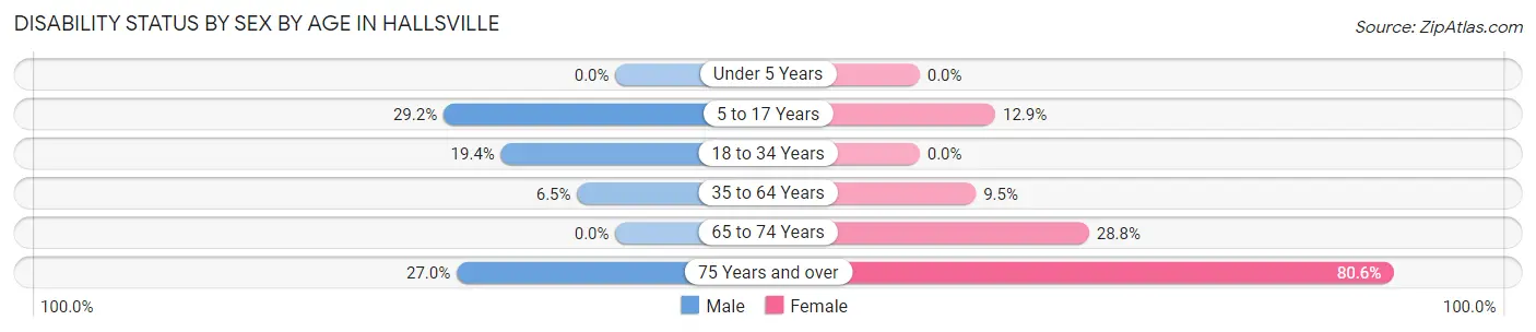 Disability Status by Sex by Age in Hallsville