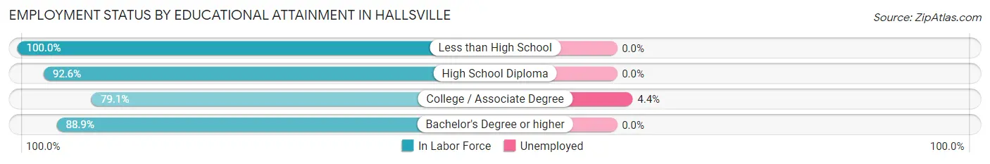 Employment Status by Educational Attainment in Hallsville