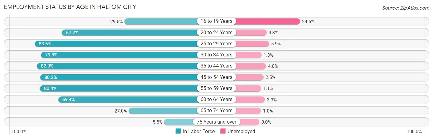Employment Status by Age in Haltom City