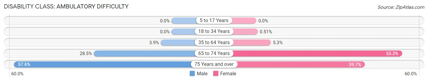 Disability in Hamlin: <span>Ambulatory Difficulty</span>