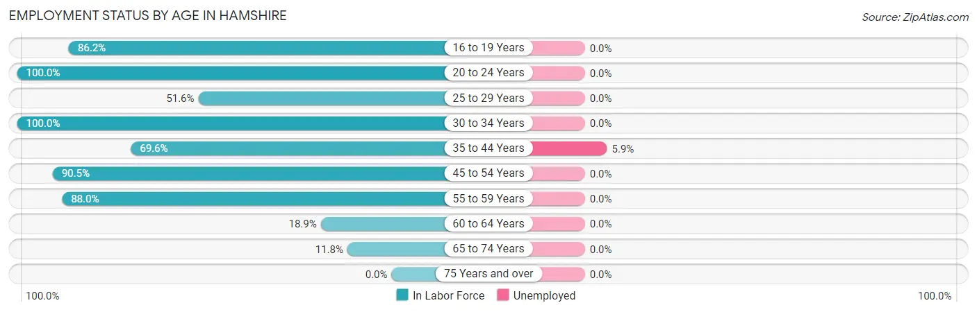Employment Status by Age in Hamshire