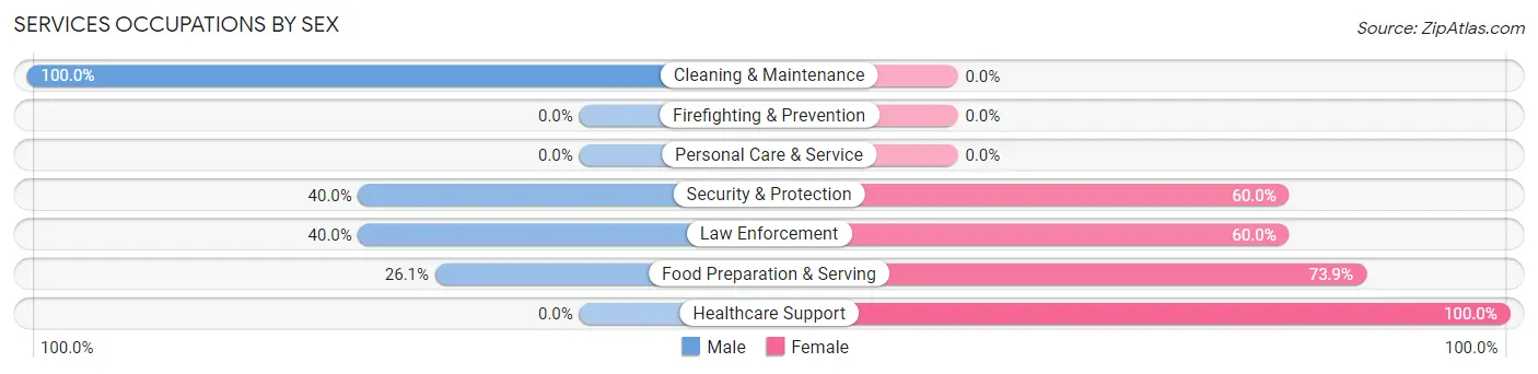 Services Occupations by Sex in Hamshire