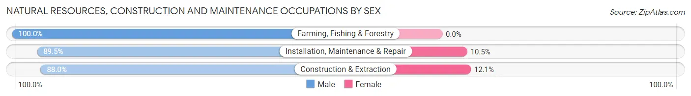 Natural Resources, Construction and Maintenance Occupations by Sex in Harker Heights