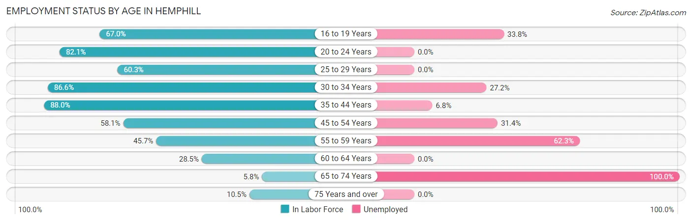 Employment Status by Age in Hemphill