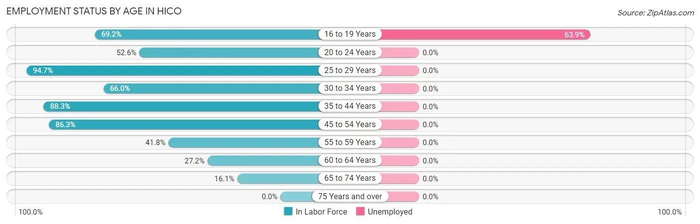 Employment Status by Age in Hico