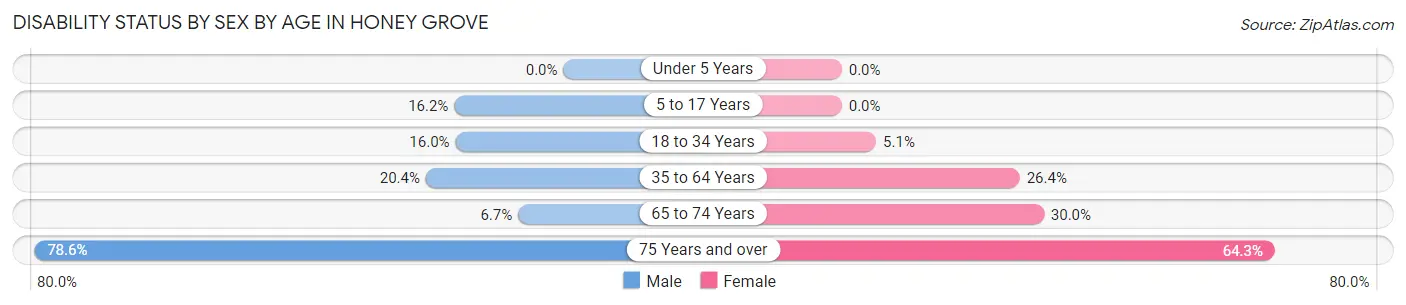 Disability Status by Sex by Age in Honey Grove