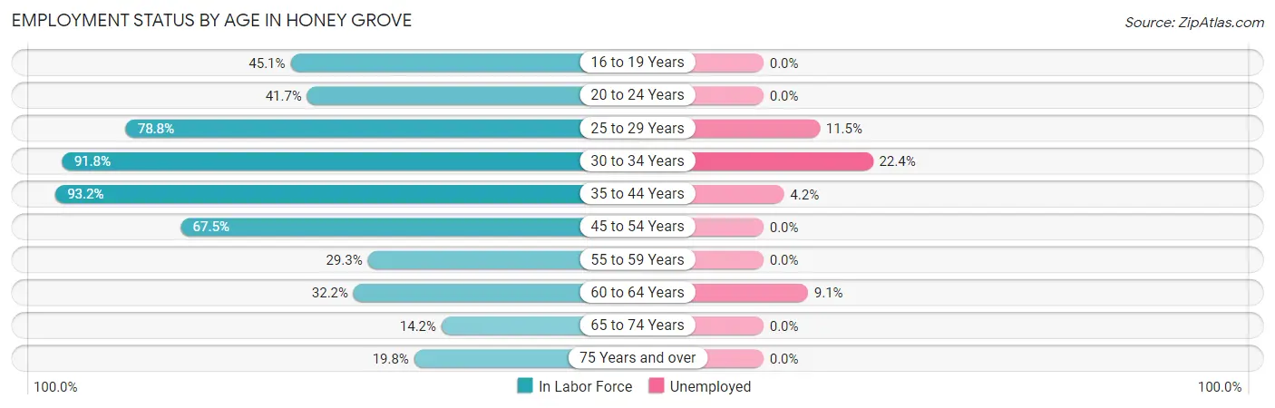 Employment Status by Age in Honey Grove