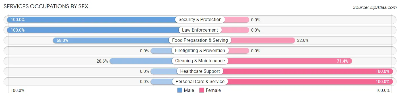 Services Occupations by Sex in Honey Grove