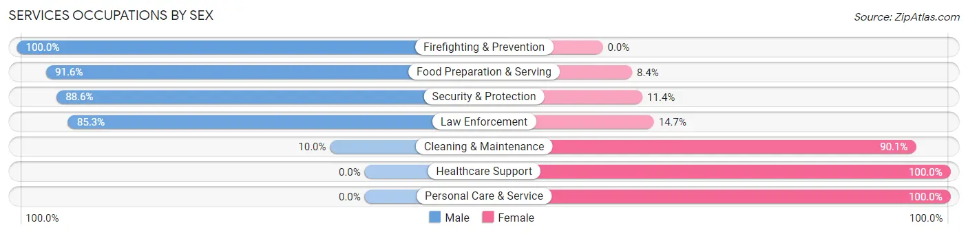 Services Occupations by Sex in Hudson