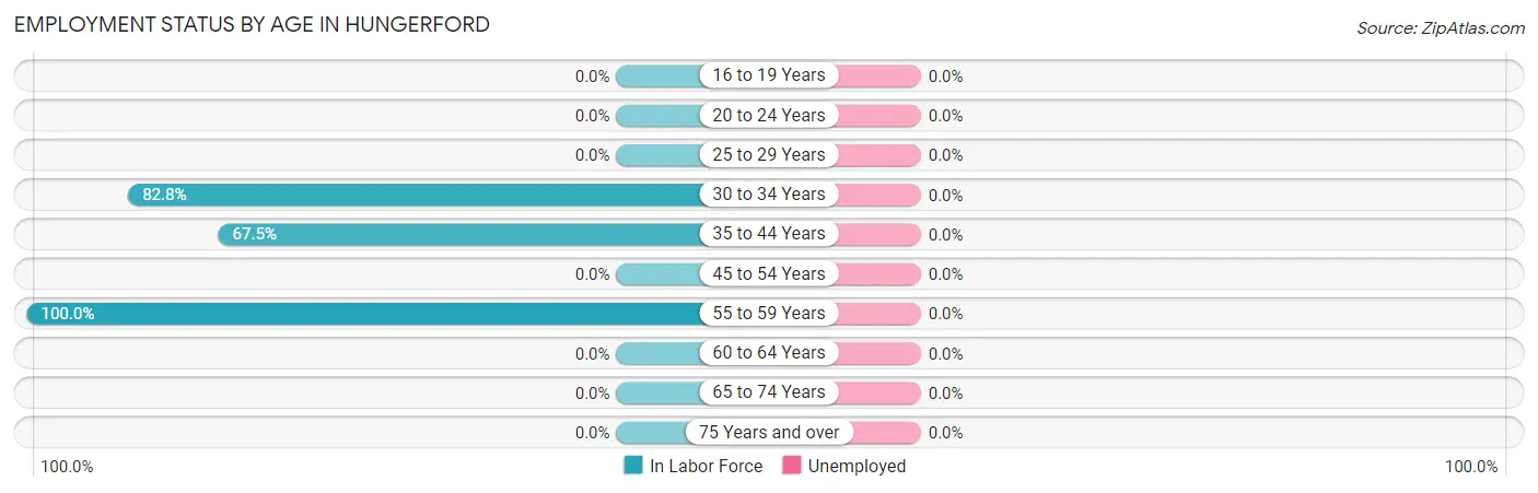Employment Status by Age in Hungerford