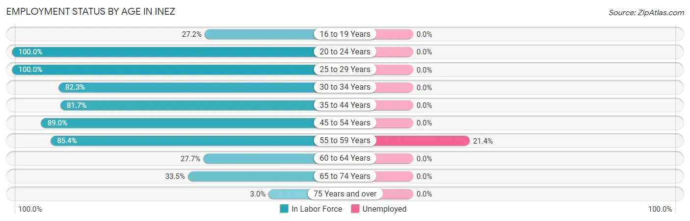 Employment Status by Age in Inez