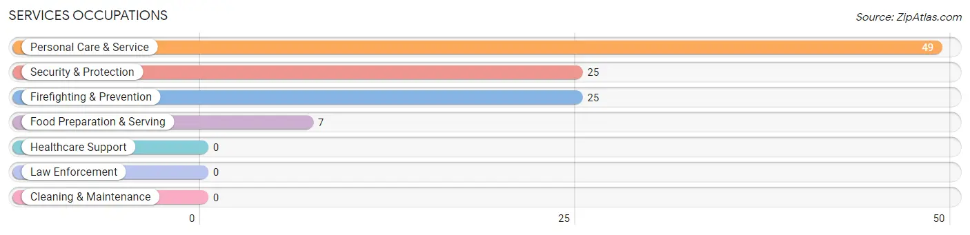 Services Occupations in Inez