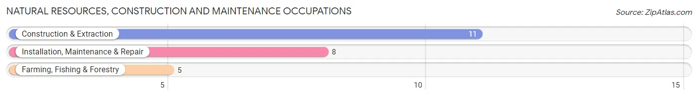 Natural Resources, Construction and Maintenance Occupations in Iola