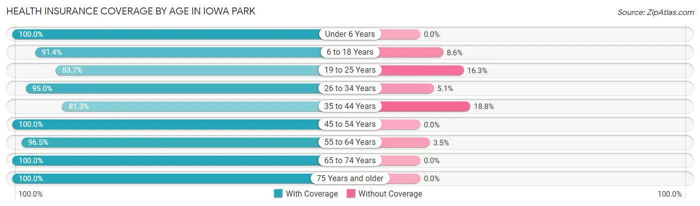 Health Insurance Coverage by Age in Iowa Park