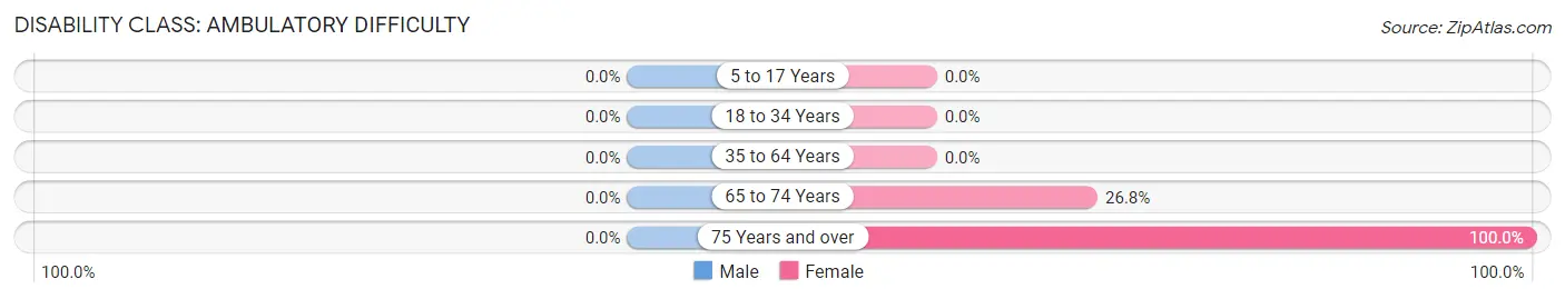 Disability in Iraan: <span>Ambulatory Difficulty</span>