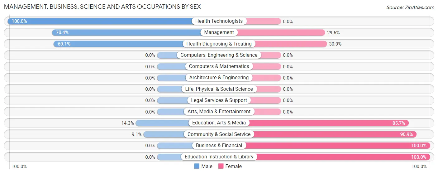 Management, Business, Science and Arts Occupations by Sex in Iraan