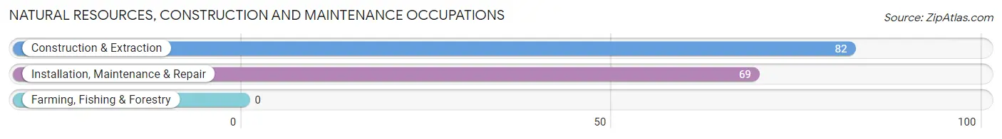 Natural Resources, Construction and Maintenance Occupations in Iraan