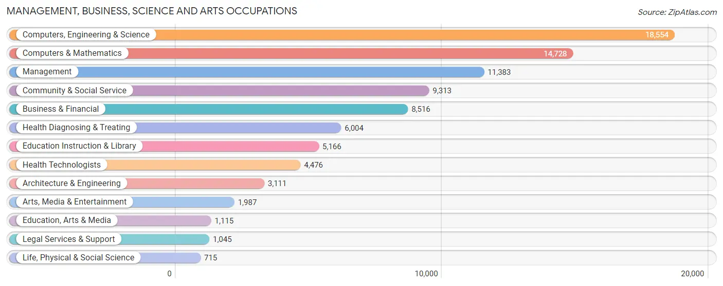 Management, Business, Science and Arts Occupations in Irving