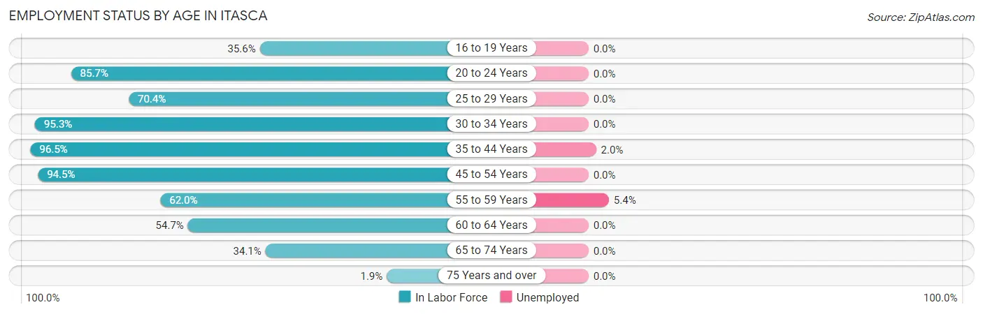 Employment Status by Age in Itasca