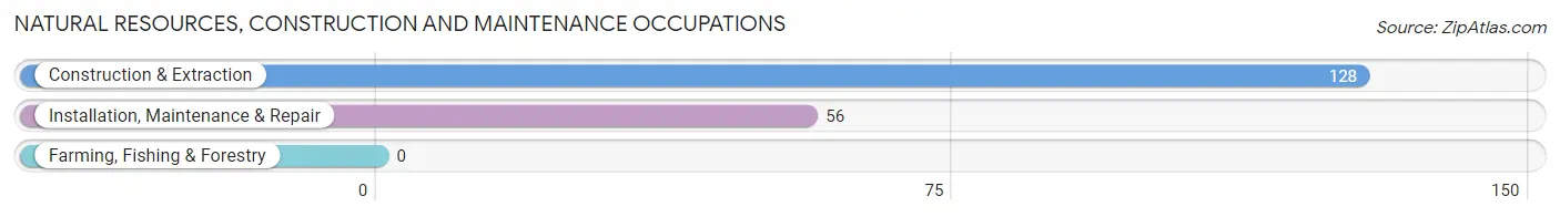 Natural Resources, Construction and Maintenance Occupations in Jarrell