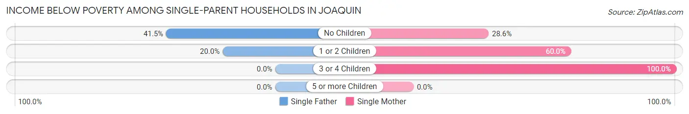Income Below Poverty Among Single-Parent Households in Joaquin