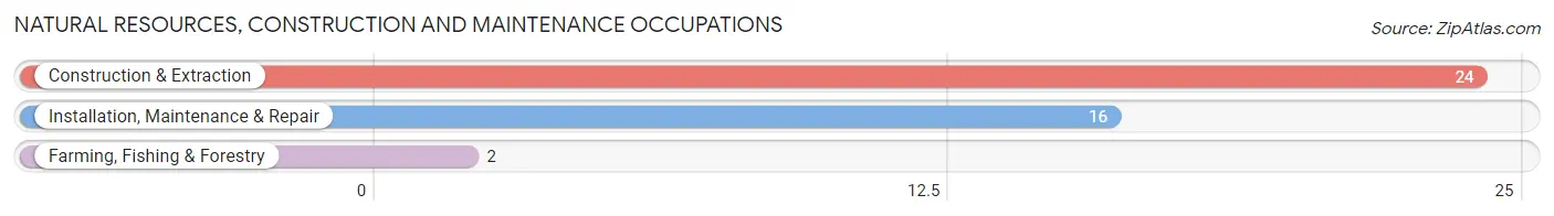 Natural Resources, Construction and Maintenance Occupations in Joaquin